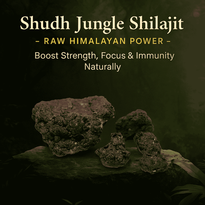 Pure Himalayan Shilajeet – Natural Resin | 100% Organic | Energy & Vitality Booster – 10 Gram